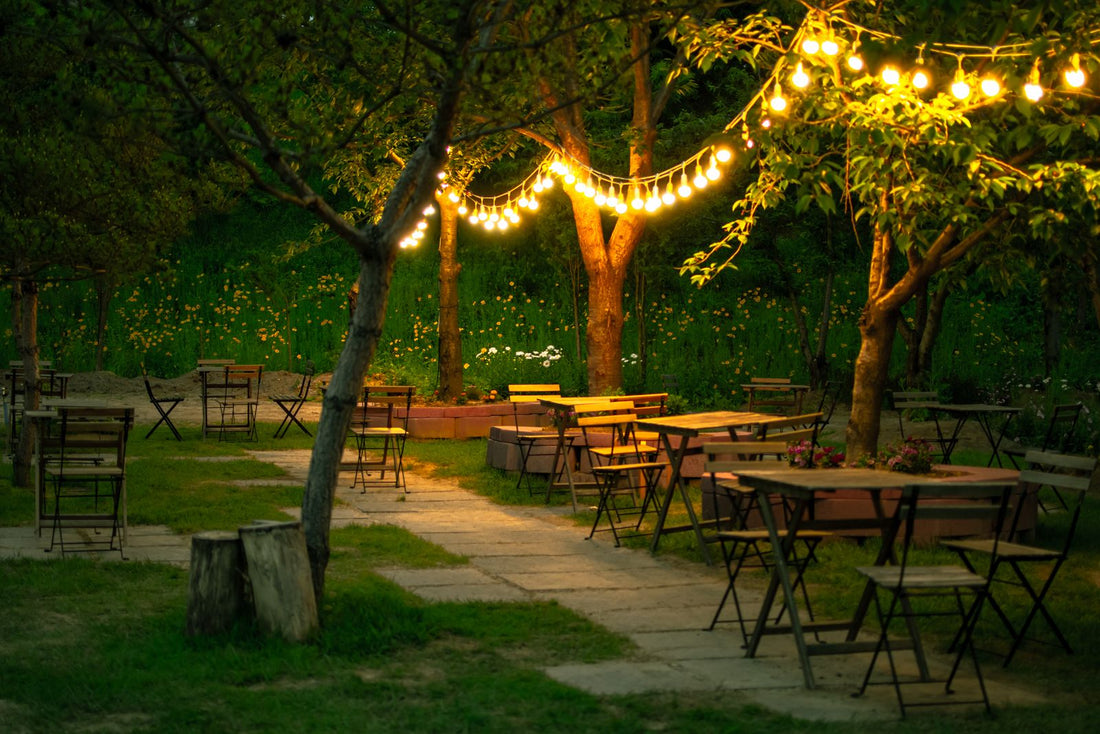 Warm festoon string lights strung between trees over a garden seating area on a summer evening