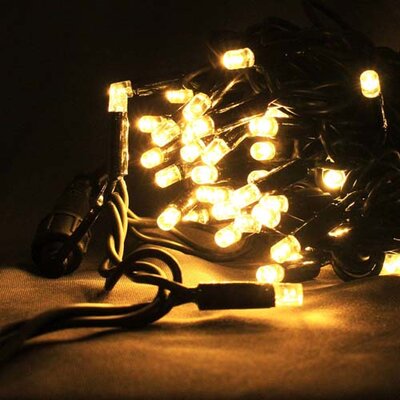 Yuletide 10M 100 LED multi function string light, warm white